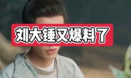 刘大锤爆料谢娜视频播放,娜姐真性情！